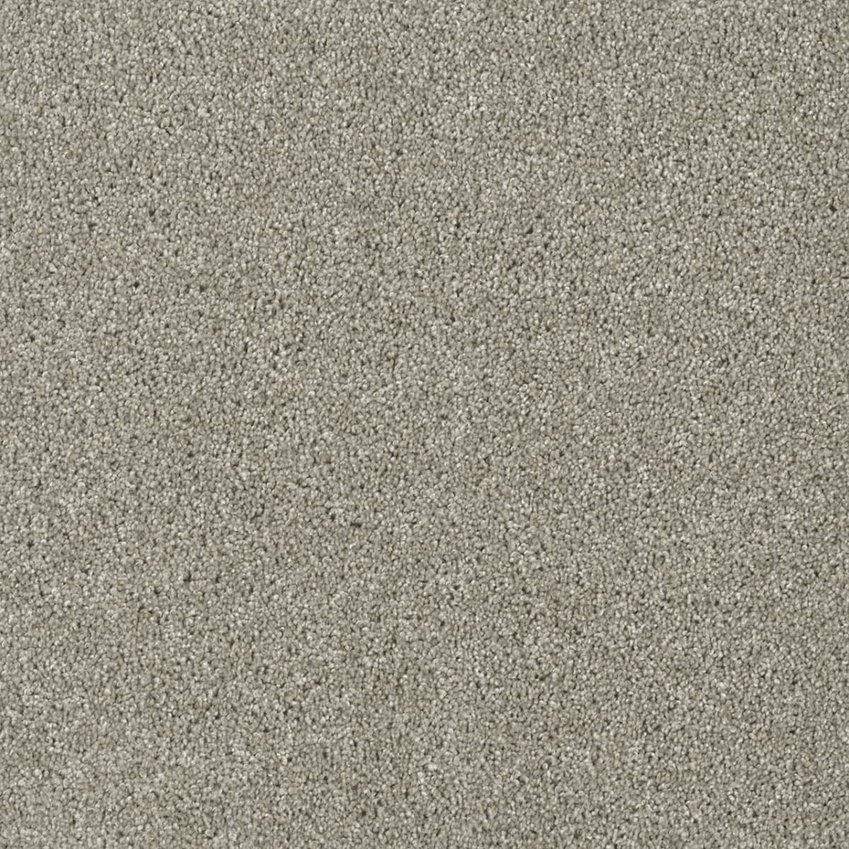 cut and loop residential carpet by shaw floors
