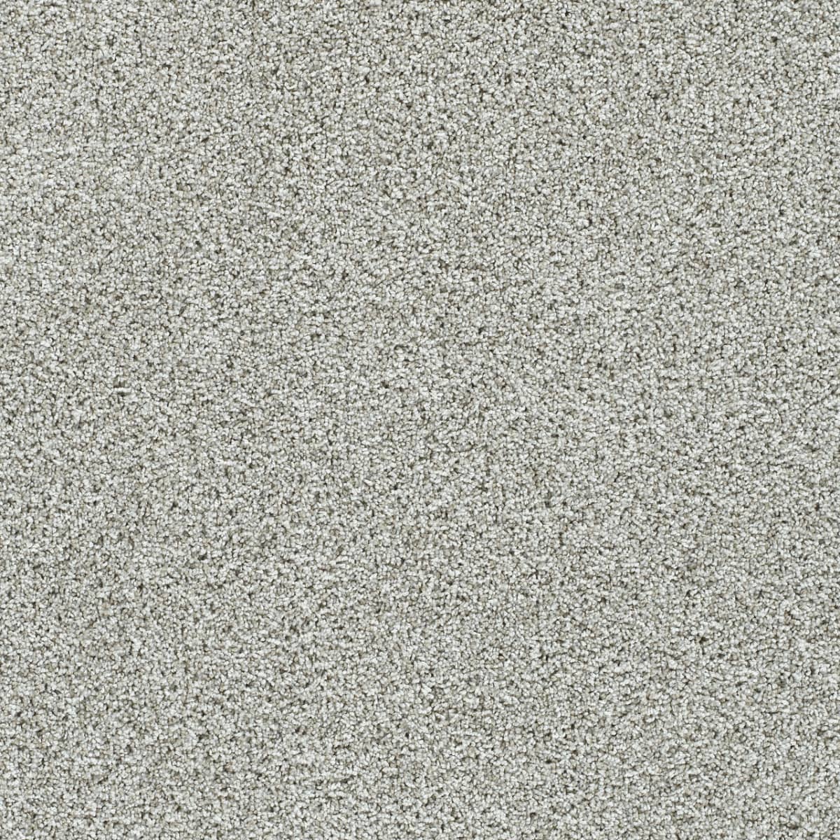 pet friendly plush carpet with next day installation
